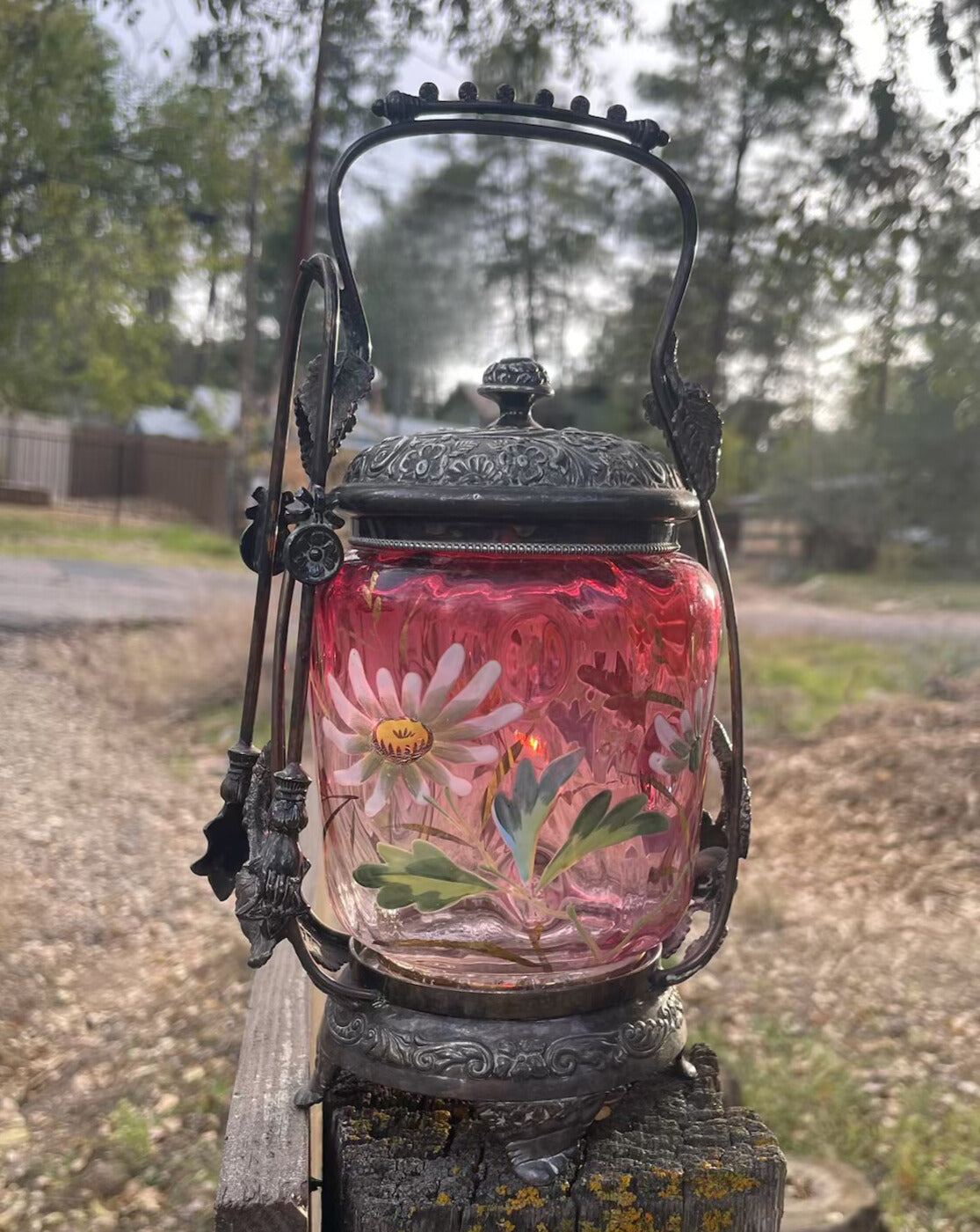 The Pickle Jar That Picked Me